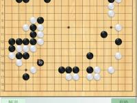 乐鱼体育官网入口-弈棋论道：围棋选手智慧过人的简单介绍