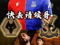 乐鱼体育vip注册-狼队客场不敌对手，陷入保级危机的简单介绍