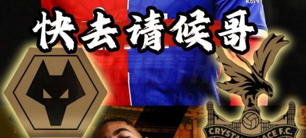 乐鱼体育vip注册-狼队客场不敌对手，陷入保级危机的简单介绍