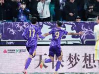 乐鱼体育在线-山东鲁能客场击败天津泰达，豪取五连胜
