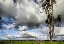 乐鱼体育活动-马德里德比正名，皇马成功获胜