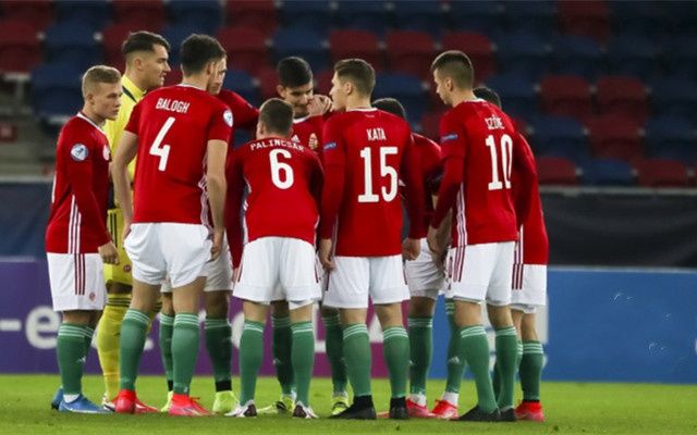 关于波兰迎战匈牙利，双方实力如何对比？的信息